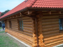 Blockbau – ebenerdiger Bungalow